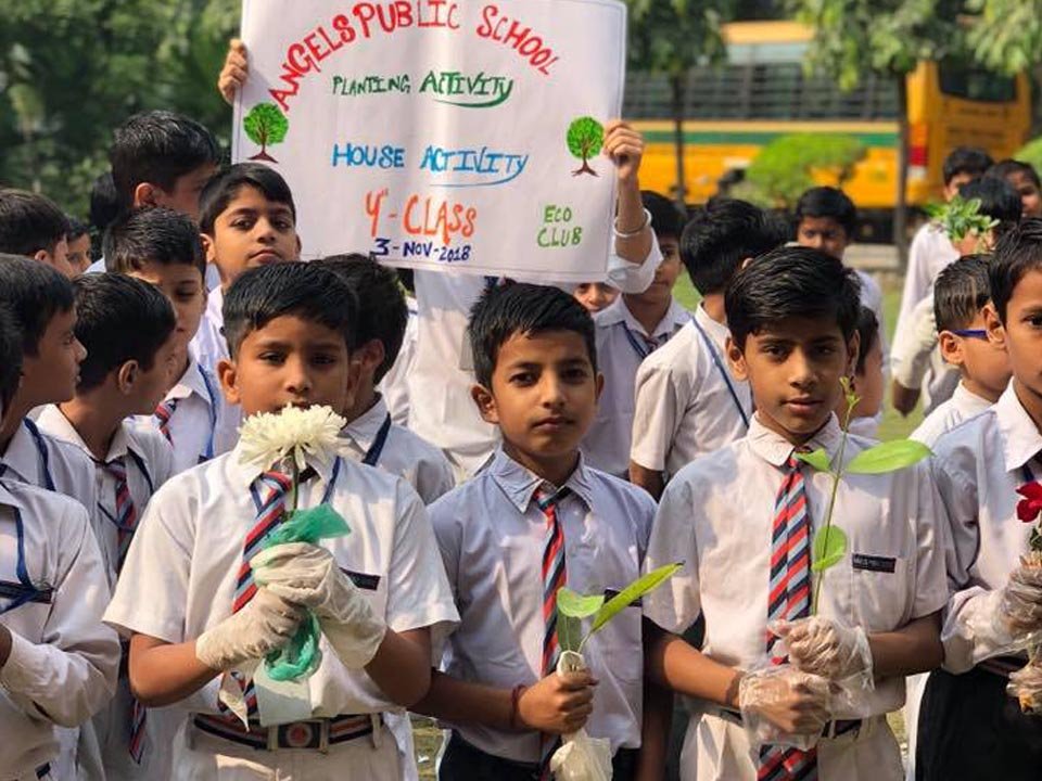 Plantation Drive
